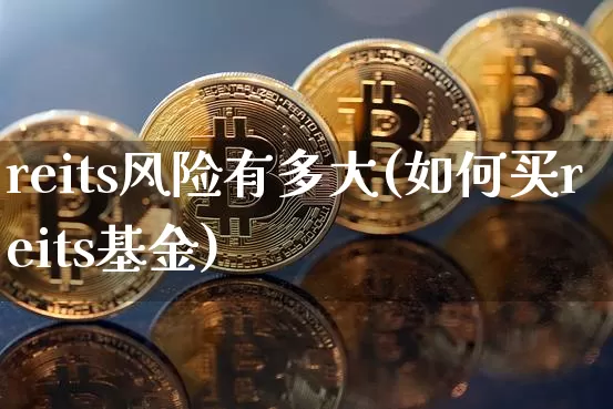 reits风险有多大(如何买reits基金)_https://www.cangshenghg.com_北交所_第1张