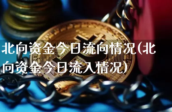 北向资金今日流向情况(北向资金今日流入情况)_https://www.cangshenghg.com_创业板_第1张