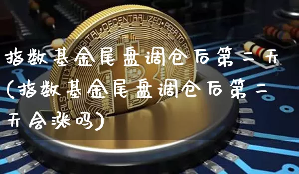 指数基金尾盘调仓后第二天(指数基金尾盘调仓后第二天会涨吗)_https://www.cangshenghg.com_北交所_第1张