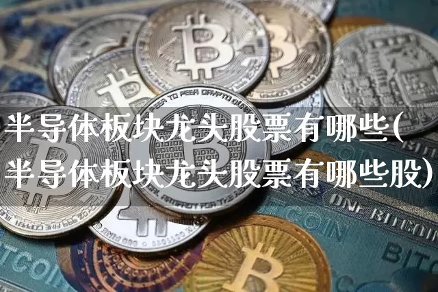 半导体板块龙头股票有哪些(半导体板块龙头股票有哪些股)_https://www.cangshenghg.com_财经新闻_第1张