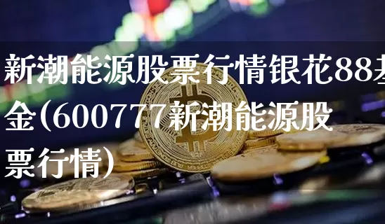 新潮能源股票行情银花88基金(600777新潮能源股票行情)_https://www.cangshenghg.com_北交所_第1张