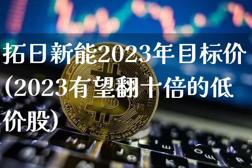 拓日新能2023年目标价(2023有望翻十倍的低价股)_https://www.cangshenghg.com_创业板_第1张
