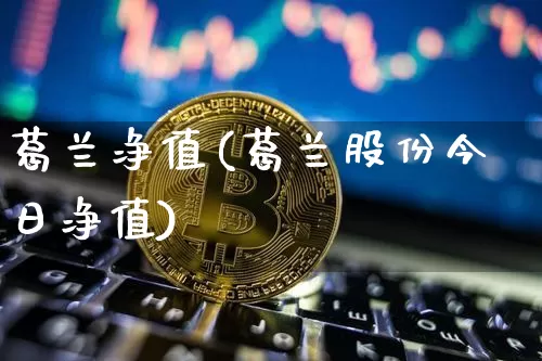 葛兰净值(葛兰股份今日净值)_A股_第1张_华信财经网 葛兰净值(葛兰股份今日净值)_https://www.cangshenghg.com_A股_第1张