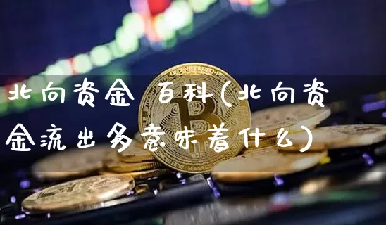 北向资金 百科(北向资金流出多意味着什么)_https://www.cangshenghg.com_创业板_第1张