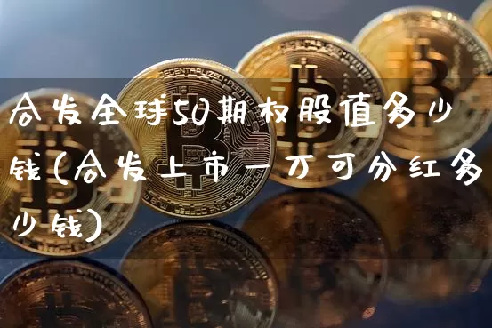 合发全球50期权股值多少钱(合发上市一万可分红多少钱)_https://www.cangshenghg.com_财经新闻_第1张