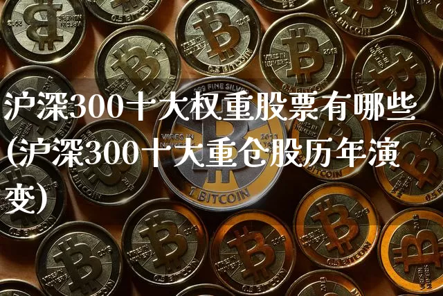沪深300十大权重股票有哪些(沪深300十大重仓股历年演变)_https://www.cangshenghg.com_北交所_第1张