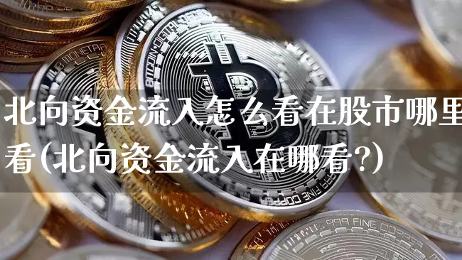北向资金流入怎么看在股市哪里看(北向资金流入在哪看?)_https://www.cangshenghg.com_北交所_第1张