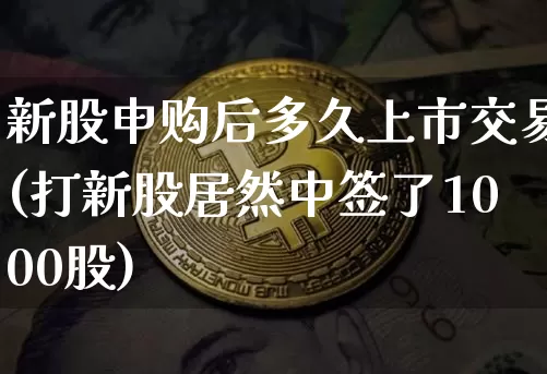 新股申购后多久上市交易(打新股居然中签了1000股)_https://www.cangshenghg.com_科创板_第1张