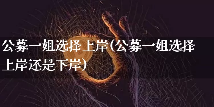 公募一姐选择上岸(公募一姐选择上岸还是下岸)_https://www.cangshenghg.com_创业板_第1张