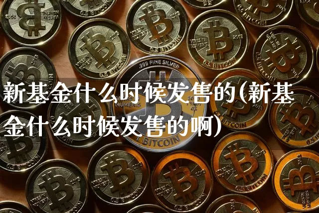 新基金什么时候发售的(新基金什么时候发售的啊)_https://www.cangshenghg.com_创业板_第1张