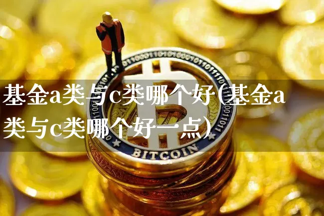 基金a类与c类哪个好(基金a类与c类哪个好一点)_https://www.cangshenghg.com_北交所_第1张