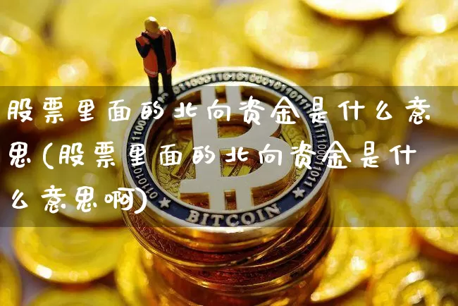 股票里面的北向资金是什么意思(股票里面的北向资金是什么意思啊)_https://www.cangshenghg.com_北交所_第1张