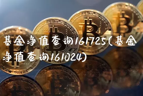 基金净值查询161725(基金净值查询161024)_https://www.cangshenghg.com_科创板_第1张