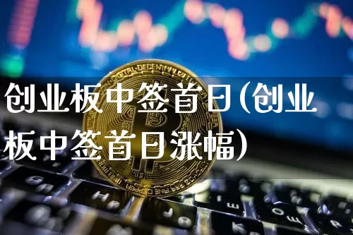 创业板中签首日(创业板中签首日涨幅)_https://www.cangshenghg.com_北交所_第1张