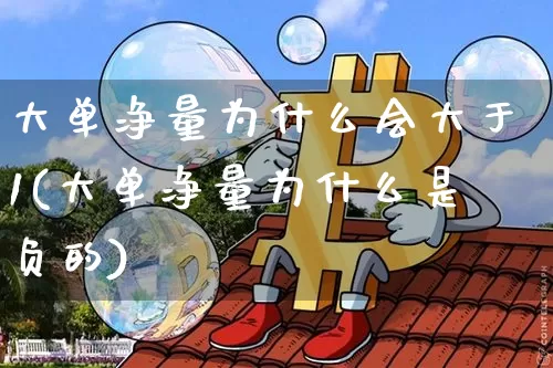 大单净量为什么会大于1(大单净量为什么是负的)_https://www.cangshenghg.com_科创板_第1张