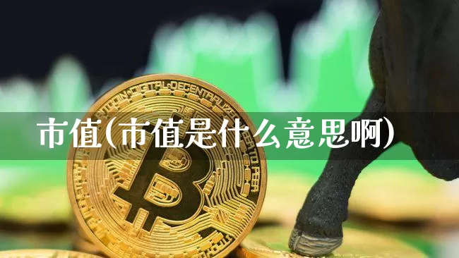 市值(市值是什么意思啊)_https://www.cangshenghg.com_北交所_第1张