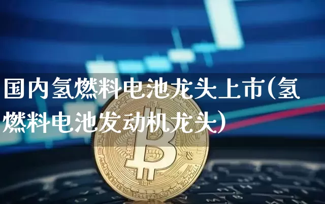 国内氢燃料电池龙头上市(氢燃料电池发动机龙头)_https://www.cangshenghg.com_科创板_第1张
