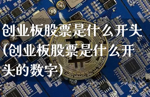 创业板股票是什么开头(创业板股票是什么开头的数字)_https://www.cangshenghg.com_北交所_第1张