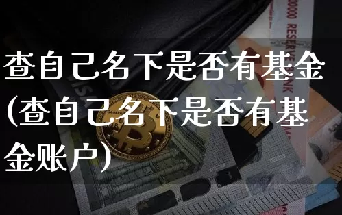 查自己名下是否有基金(查自己名下是否有基金账户)_https://www.cangshenghg.com_北交所_第1张