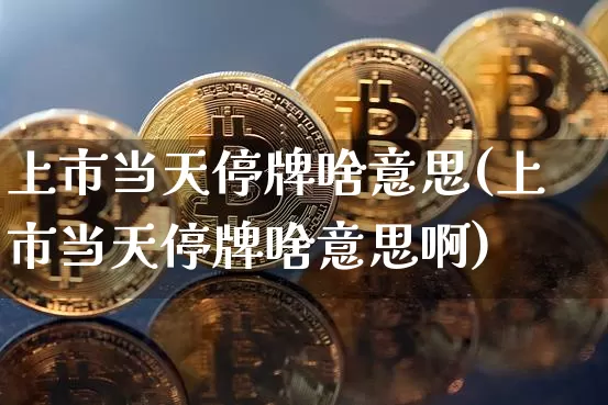 上市当天停牌啥意思(上市当天停牌啥意思啊)_https://www.cangshenghg.com_财经新闻_第1张