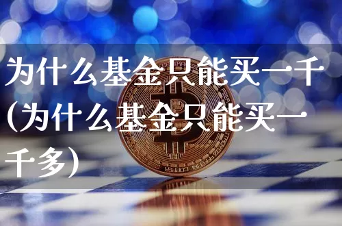 为什么基金只能买一千(为什么基金只能买一千多)_https://www.cangshenghg.com_A股_第1张