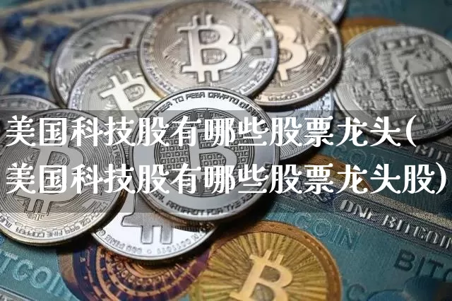 美国科技股有哪些股票龙头(美国科技股有哪些股票龙头股)_https://www.cangshenghg.com_北交所_第1张