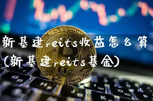 新基建reits收益怎么算(新基建reits基金)_https://www.cangshenghg.com_创业板_第1张