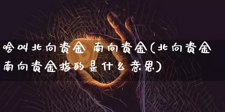 啥叫北向资金 南向资金(北向资金南向资金指的是什么意思)_https://www.cangshenghg.com_财经新闻_第1张