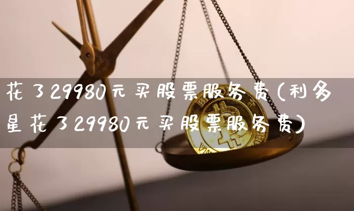 花了29980元买股票服务费(利多星花了29980元买股票服务费)_https://www.cangshenghg.com_北交所_第1张