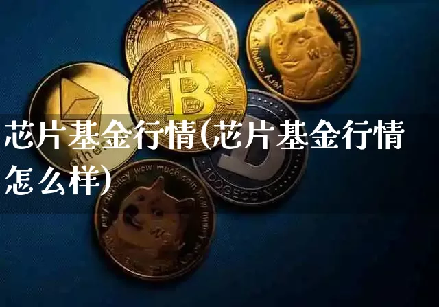 芯片基金行情(芯片基金行情怎么样)_https://www.cangshenghg.com_创业板_第1张