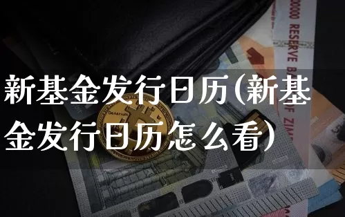 新基金发行日历(新基金发行日历怎么看)_https://www.cangshenghg.com_创业板_第1张