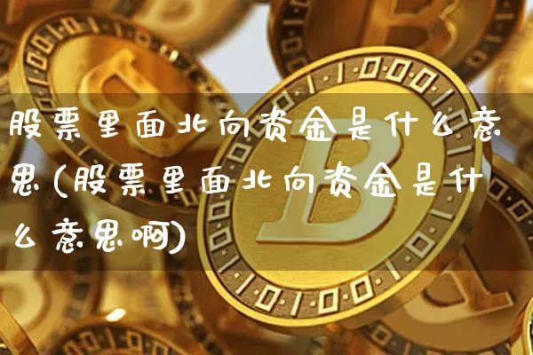 股票里面北向资金是什么意思(股票里面北向资金是什么意思啊)_https://www.cangshenghg.com_科创板_第1张