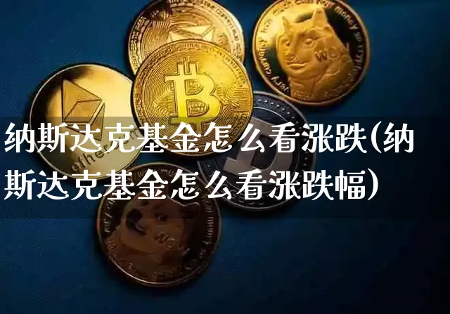 纳斯达克基金怎么看涨跌(纳斯达克基金怎么看涨跌幅)_https://www.cangshenghg.com_北交所_第1张