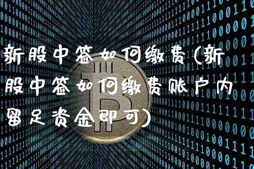 新股中签如何缴费(新股中签如何缴费账户内留足资金即可)_https://www.cangshenghg.com_创业板_第1张