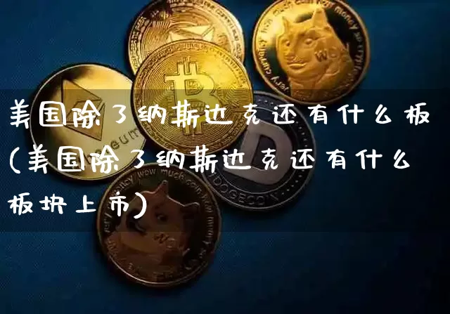 美国除了纳斯达克还有什么板(美国除了纳斯达克还有什么板块上市)_https://www.cangshenghg.com_北交所_第1张