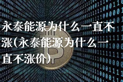 永泰能源为什么一直不涨(永泰能源为什么一直不涨价)_https://www.cangshenghg.com_北交所_第1张