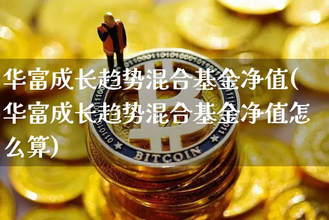 华富成长趋势混合基金净值(华富成长趋势混合基金净值怎么算)_https://www.cangshenghg.com_北交所_第1张