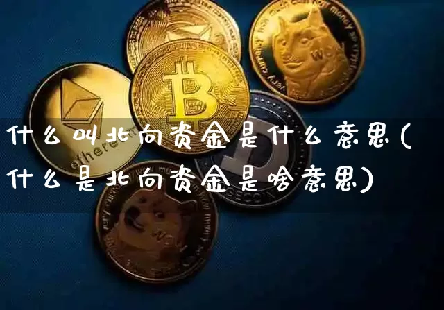 什么叫北向资金是什么意思(什么是北向资金是啥意思)_https://www.cangshenghg.com_科创板_第1张