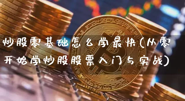 炒股零基础怎么学最快(从零开始学炒股股票入门与实战)_https://www.cangshenghg.com_科创板_第1张
