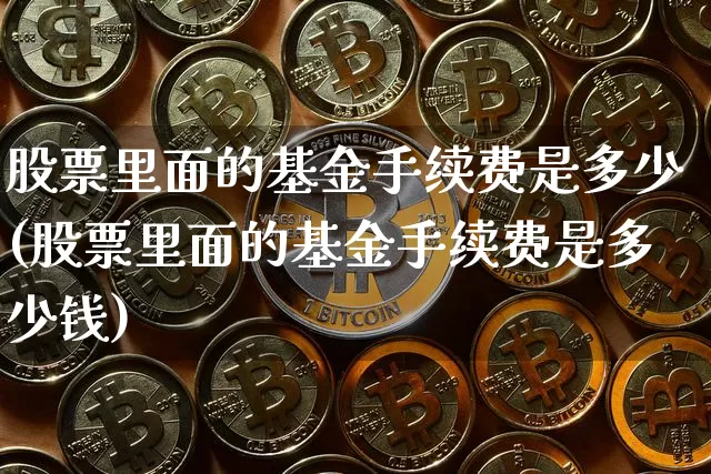 股票里面的基金手续费是多少(股票里面的基金手续费是多少钱)_https://www.cangshenghg.com_科创板_第1张