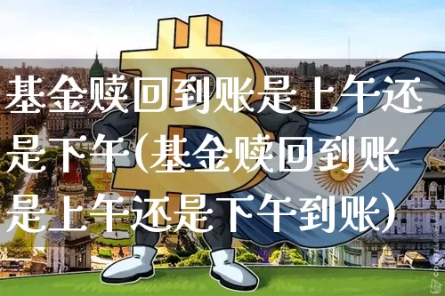 基金赎回到账是上午还是下午(基金赎回到账是上午还是下午到账)_https://www.cangshenghg.com_北交所_第1张