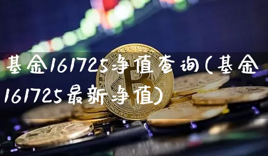 基金161725净值查询(基金161725最新净值)_https://www.cangshenghg.com_财经新闻_第1张