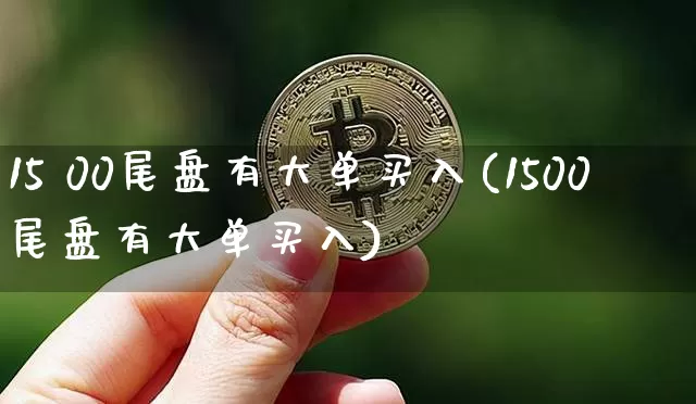 15 00尾盘有大单买入(1500尾盘有大单买入)_https://www.cangshenghg.com_北交所_第1张