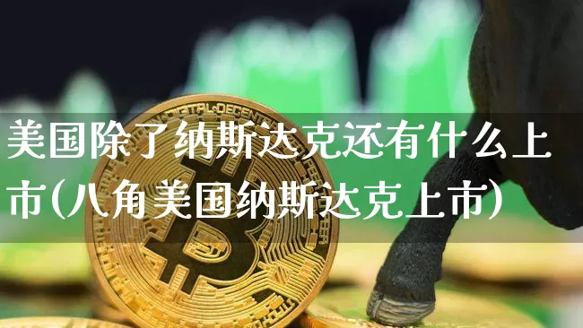 美国除了纳斯达克还有什么上市(八角美国纳斯达克上市)_https://www.cangshenghg.com_A股_第1张