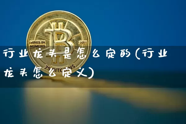 行业龙头是怎么定的(行业龙头怎么定义)_https://www.cangshenghg.com_A股_第1张