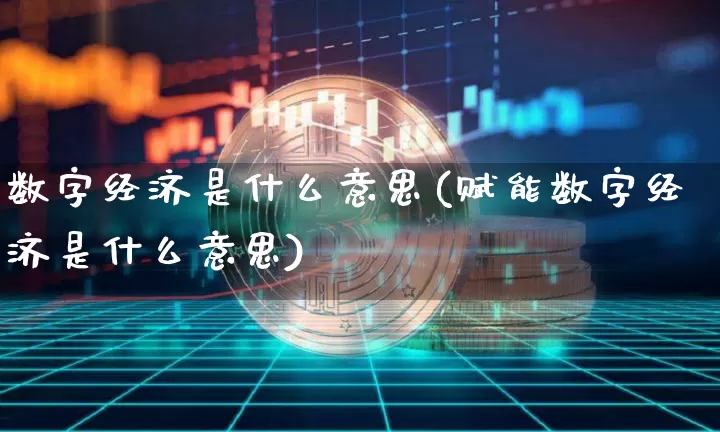 数字经济是什么意思(赋能数字经济是什么意思)_https://www.cangshenghg.com_科创板_第1张