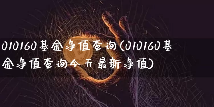 010160基金净值查询(010160基金净值查询今天最新净值)_https://www.cangshenghg.com_北交所_第1张