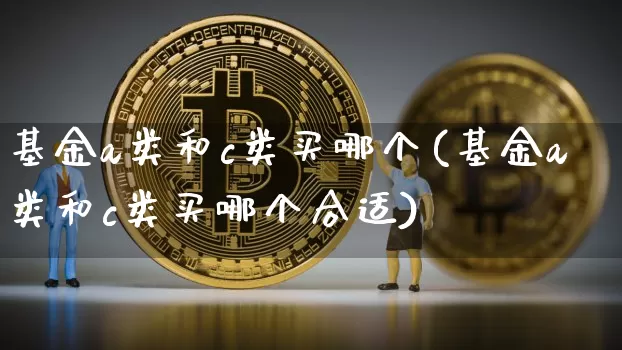 基金a类和c类买哪个(基金a类和c类买哪个合适)_https://www.cangshenghg.com_科创板_第1张