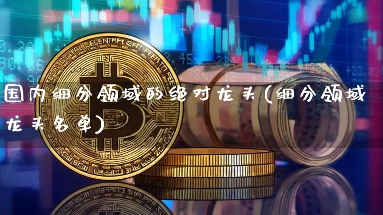 国内细分领域的绝对龙头(细分领域龙头名单)_https://www.cangshenghg.com_A股_第1张