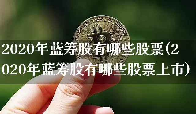 2020年蓝筹股有哪些股票(2020年蓝筹股有哪些股票上市)_https://www.cangshenghg.com_科创板_第1张
